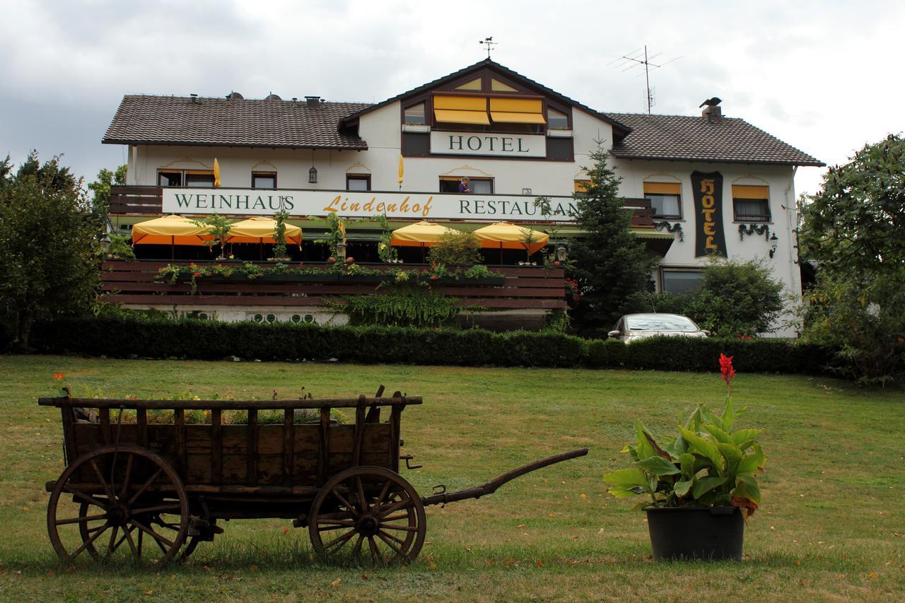 Hotel-Restaurant Lindenhof Kreuzwertheim Экстерьер фото